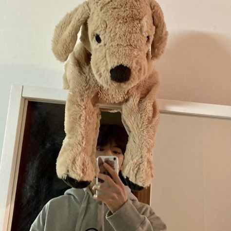 Ikea Dog, Dog Plushie, Studio Ghibli Movies, I Love My Dog, Ghibli Movies, Love My Dog, Kim Seungmin, Kids Icon, 2 Months