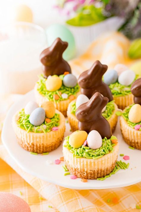 Mini Cheesecakes Easter, Easter Bite Size Desserts, Mini Easter Cheesecake Recipes, Easter Cheesecake Mini, Individual Easter Desserts, Easter Mini Cheesecakes, Ostara Desserts, Mini Easter Desserts, Easter Cheesecakes