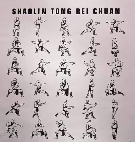 Northern Shaolin Kung Fu Poses, Kung Fu Moves, Kung Fu Techniques, Karate Moves, Martial Arts Moves, Jiu Jitsu Videos, Martial Arts Forms, Karate Training, Self Defence Training