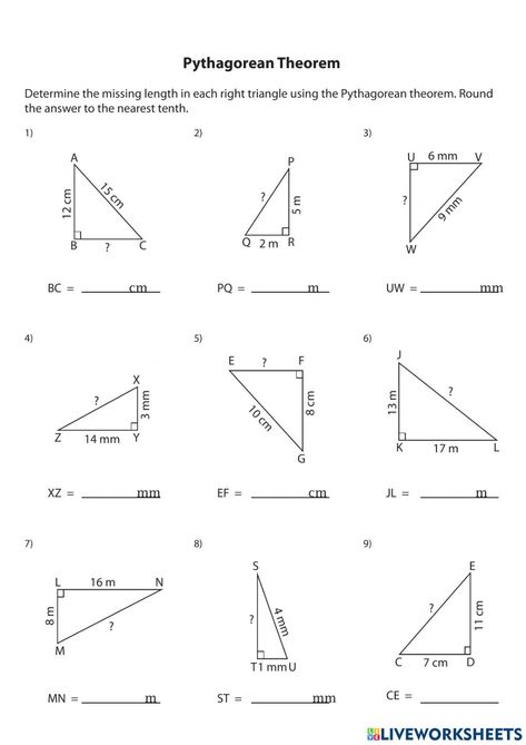 Personal Information Worksheet, 10th Grade Geometry, Equations Worksheets, Area Worksheets, Worksheet Math, Perimeter Worksheets, Distance Formula, Pythagorean Theorem Worksheet, Triangle Worksheet