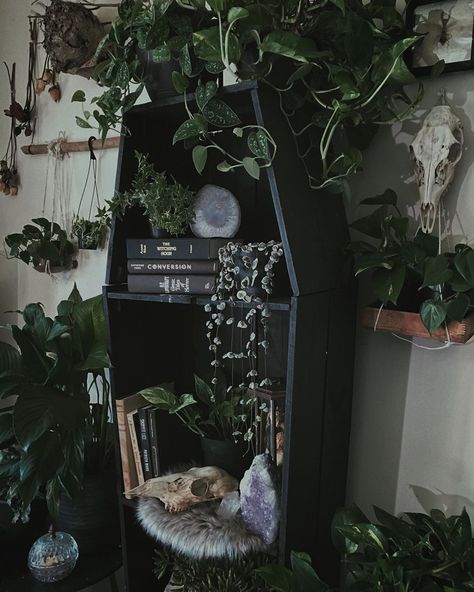 848 Likes, 21 Comments - ℜain (@gravedelight) on Instagram: “My husband surprised me with a sweet little golden pothos recently, I’ve named it Pothos Malone. It…” Slytherin Bedroom, Slytherin Room, Goth Houses, Gothic Decor Bedroom, Goth Bedroom, Gothic Room, Gothic Bedroom, Dark Home Decor, Goth Home