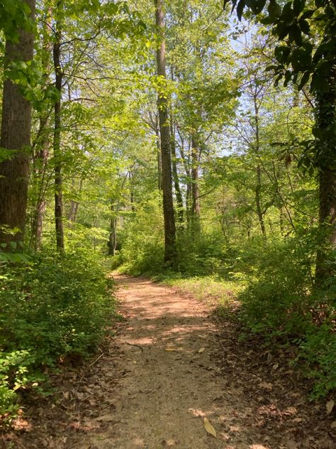 #trails #hikemore #scenery #quietlife Nature Trails Aesthetic, Walks In The Woods, Nature Trail Aesthetic, Hiking Trail Aesthetic, Trails Aesthetic, Trail Aesthetic, Movement Motivation, Twitter Ideas, Happy Trail