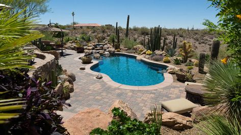 Pool Design Ideas: Freeform Desert Oasis - California Pools & Landscape Large Garden Ideas, Backyard Plunge Pool, Organic Pool, Freeform Pool Designs, Desert Pool, Desert Landscaping Ideas, Arizona Pools, Plunge Pool Ideas, Cocktail Pools