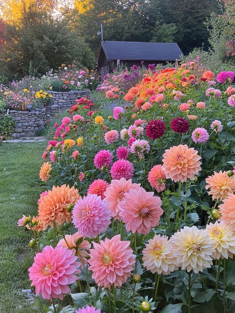 Garden With Flowers Ideas, Pretty Flowers Garden, Flowers For Fairy Garden, Large Flower Garden Ideas, Lush Flower Garden, Gardening Flowers Aesthetic, Wildflowers In Yard, Pick Flower Garden, Pictures Of Gardens