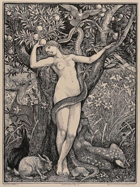 Eve Bible, Eve Tattoo, Attractive Images, Casting Spells, Shirley Jackson, Walter Crane, Wellcome Collection, The Serpent, Desenho Tattoo