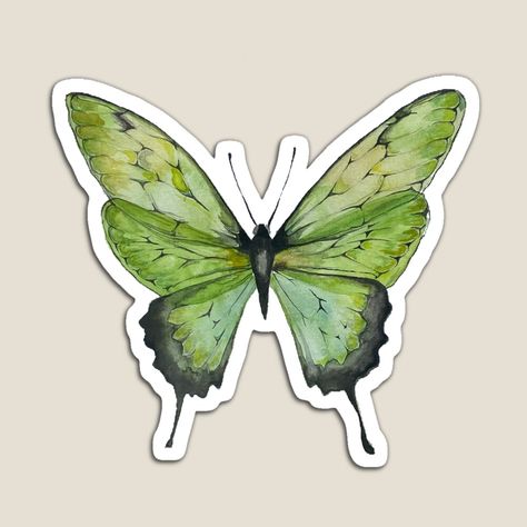 Get my art printed on awesome products. Support me at Redbubble #RBandME: https://www.redbubble.com/i/magnet/Monarch-Green-Sage-Butterfly-Watercolor-Sticker-Aesthetic-by-barbz2020/95792524.TBCTK?asc=u Laptop Stickers Collage, Sage Butterfly, Monarch Butterfly Watercolor, Green Scrapbook, Fairy Stickers, Sticker Aesthetic, Images Kawaii, Stickers Cool, Nature Stickers