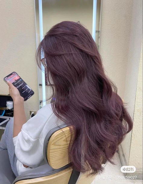 Purplish Red Hair Dye, Dark Cherry Hair Aesthetic, Plum And Brown Hair, Pinkish Purple Hair Color, Cherry Pink Hair Color, Plum Highlights In Brown Hair, Purple Tinted Brown Hair, Korean Color Hair, Pink Tinted Hair