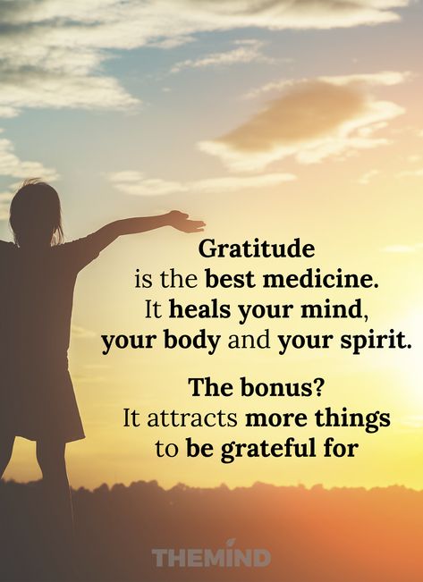 Grateful Quotes Gratitude, Quotes Gratitude, Grateful Quotes, Thankful Quotes, Inspirational Life Quotes, Gratitude Journal Prompts, Gratitude Affirmations, Women Motivation, Attitude Of Gratitude