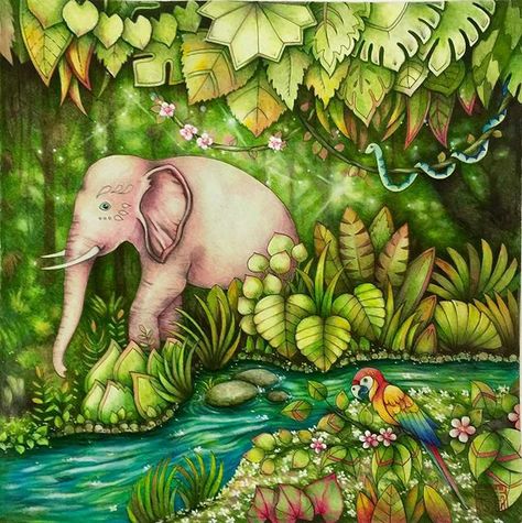 #magicaljungle #johannabasford #prismacolor #triplusfineliner Magical Jungle Coloring Book, Cherry Lee, Jungle Coloring Pages, Johanna Basford Magical Jungle, Magic Jungle, Magical Jungle Johanna Basford, Johanna Basford Books, Joanna Basford Coloring, Gardens Coloring Book