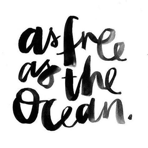 stay free As Free As The Ocean, Free As The Ocean, Beach Quotes, Quotes Words, Inspirational Quotes Motivation, Pretty Words, Instagram Captions, Logo Inspiration, Beautiful Words