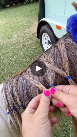 109K views · 11K reactions | Easy and fast mane braids! Pippa’s mane is still not long enough for most braids, but these will stay all day. If you have a full size horse, the final result will be more impressive because you have room to add  more braids than a pony neck.  • • • #princesstheminihorse#roanyponyfarm#minihorse#miniaturehorse#horsebraids#horsebraiding#pony#minipony#shetty#minishetty#shetlandpony#ponylove | Roany Pony Farm | Caribou · Honey Easy Horse Mane Braids, Horse Mane Braids, Horse Hair Braiding, Horse Mane, Horse Boarding, Crazy Hair Days, Horse Crazy, Crazy Hair, Horse Hair