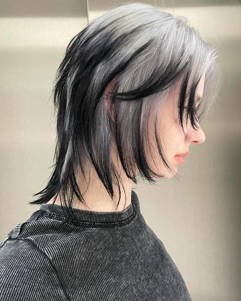 Haircut + silver color + black tips = @3liksir Colour Short Hair Ideas, Black Hair Silver Tips, Silver To Black Hair, Silver Colored Hair, Silver Hair With Black Tips, Hair Dye Black And Blonde, Black And Silver Short Hair, Black Hair White Tips, White Hair With Black Highlights