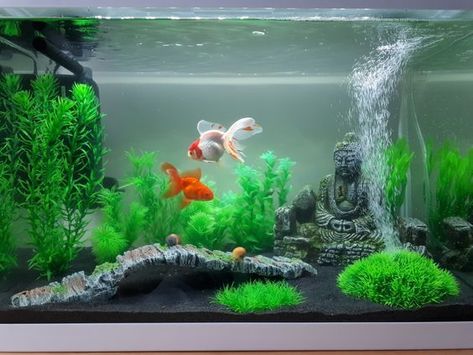 Fish Tank Ideas Goldfish, Goldfish Tank Decoration, Goldfish Aquarium Ideas, Pretty Fish Tank, Goldfish Tank Ideas, Goldfish Aquarium, Fish Aquarium Decorations, Tank Terrarium, Fish Tank Themes