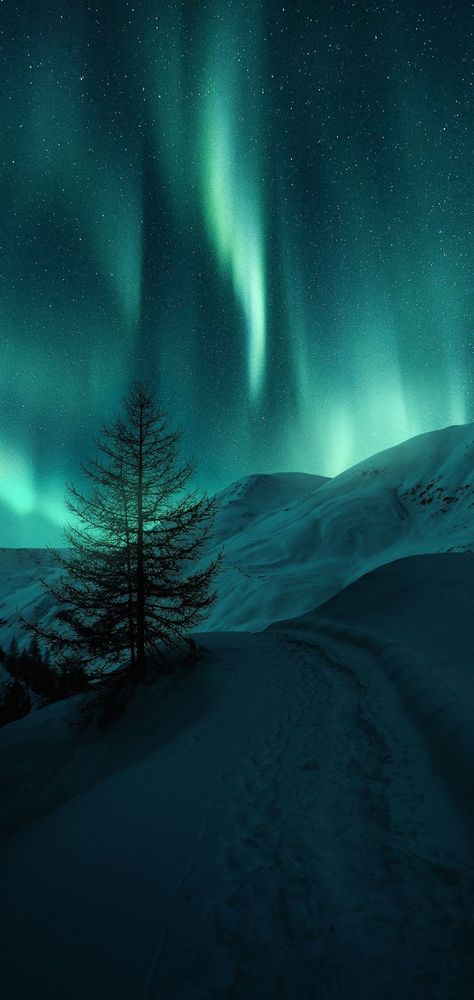 Uncover secrets to viewing the stunning aurora borealis northern lights. Best times, locations, and tips await! Norway Wallpaper, Northern Lights Wallpaper, Aurora Wallpaper, Northern Lights Photo, Northern Lights Photography, Northern Lights (aurora Borealis), Aurora Borealis Northern Lights, Pretty Landscapes, The Aurora