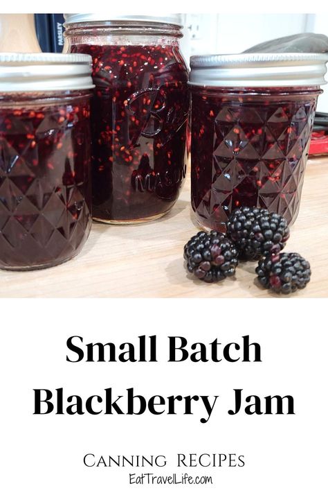 Small Batch Blackberry Jelly, How To Make Blackberry Jam, Blackberry Jam Recipe With Pectin, Blackberry Jam With Pectin, Small Batch Blackberry Jam, Canning Blackberry Jam, Herb Preservation, Homestead 101, Canning Blackberries