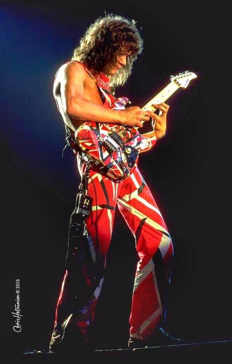 Van Halen Poster, Color Home Decor, Portrait Color, Rock N Roll Art, David Lee Roth, Steve Vai, Rock Guitarist, Best Guitarist, Home Decor For Living Room