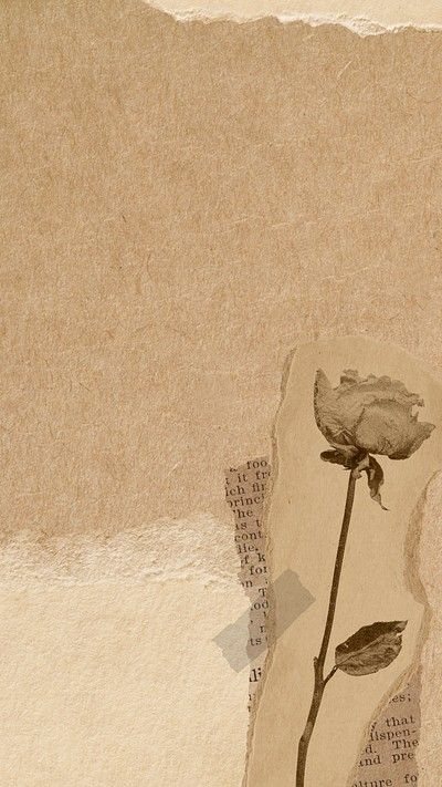 Vintage brown background, rose design | Premium PSD - rawpixel Brown Iphone Wallpaper, Background Rose, Mobile Wallpaper Iphone, Wallpapers Posters, Vintage Flowers Wallpaper, Clara Bow, Rose Background, Iphone Wallpaper Aesthetic, Wallpaper Mobile