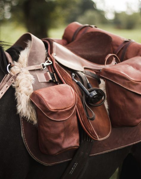 Trail Riding Saddle, Saddlebags Horse, Horse Saddle Bags, Dragon Saddle, Horse Travel, Saddle Bags Horse, Bulletproof Clothing, Horse Adventure, Trail Saddle