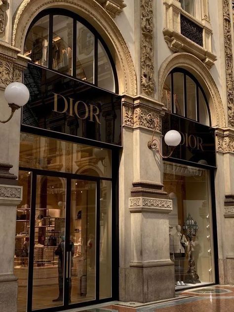 Dior Aesthetic, จีซอง Nct, Gold Aesthetic, Dark Feminine Aesthetic, Luxury Lifestyle Dreams, Classy Aesthetic, Luxury Aesthetic, Money Aesthetic, Future Me