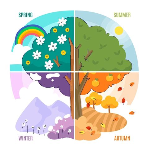 Four Season Illustration, The 4 Seasons Art, Summer Winter Autumn Spring Four Seasons, 4 Seasons Illustration, Seasons Of The Year Printables, 4 Seasons Activities, Four Seasons Drawing, 4 Season Tree, 4 Seasons Art