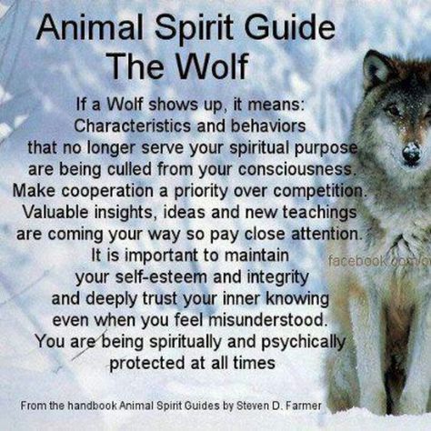 Animal Totem Spirit Guides, Animal Meanings, Spirit Animal Totem, Wolf Totem, Totem Animals, Animal Spirit Guide, Animal Spirit Guides, Native American Quotes, Wolf Quotes