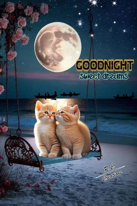 10 Good Night Images To Give You Very Sweet Dreams Good Night Blessings Quotes, Gm Images, Good Morning Christmas, Good Night Cards, Good Night Cat, Good Night Pics, Good Night Beautiful, Good Night Funny, Night Pics