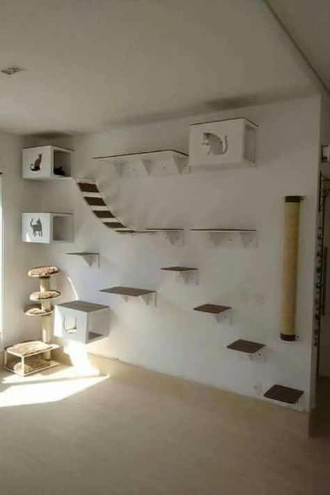 Cat Wall Furniture Design, Cat Walls Diy, Cat Super Highway, Cat Jungle Gym Wall, Diy Cat Wall Shelves, Cat Area In House, Cat Bedroom Ideas, Cat Bedroom Decor, Diy Cat Wall Ideas