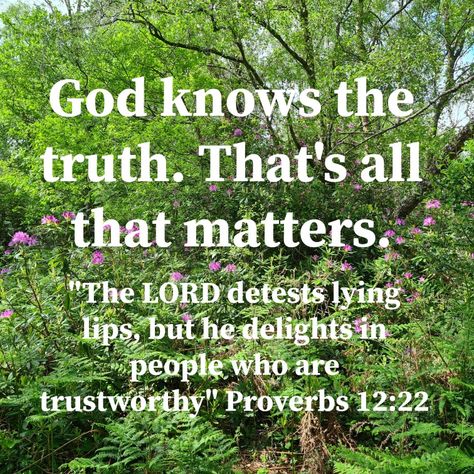 Quotes About Lying Family, Secrets Destroy Quotes, When People Lie About You Quotes, You Lied About Me Quotes, Lies About Your Character, Being Called A Liar When Telling The Truth, Truth Over Lies Quotes, When People Tell Lies About You, God Will Reveal The Truth Quotes