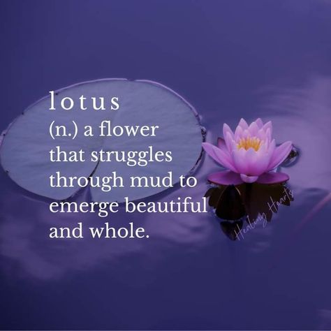 #lotus, #flower, #blume, #meaning, #strength, #motivation, #yoga, #garden, #spiritual Lotus Meaning, Lotus Quote, Lotus Flower Quote, Healing My Heart, Flower Quotes Inspirational, Lotus Flower Meaning, Flower Poem, Yoga Garden, Writer Aesthetic