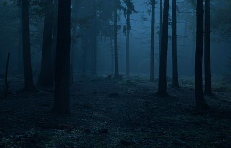 Gacha Background Outside Dark, Dark Forest Reference, Dark Forest Horizontal, Forest Background Gacha, Dark Background Landscape, Forest Night Background, Creepy Forest Background, Night Forest Background, Ominous Background