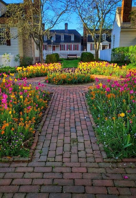 Tulip Lined Walkway, Home Tulip Garden, Tulips Aesthetic Landscape, Tulips Garden Wallpaper, Tulip Cottage Garden, Oil Painting Inspiration, Spring Bulbs, Tulips Flowers, Backyard Oasis