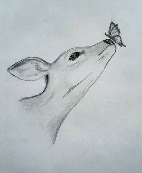 Animal Sketches Easy, Deer Sketch, Deer Drawing, Animals Drawing, Pencil Drawings For Beginners, Pencil Drawings Of Animals, Animal Drawings Sketches, Color Drawing Art, Pencil Sketch Images