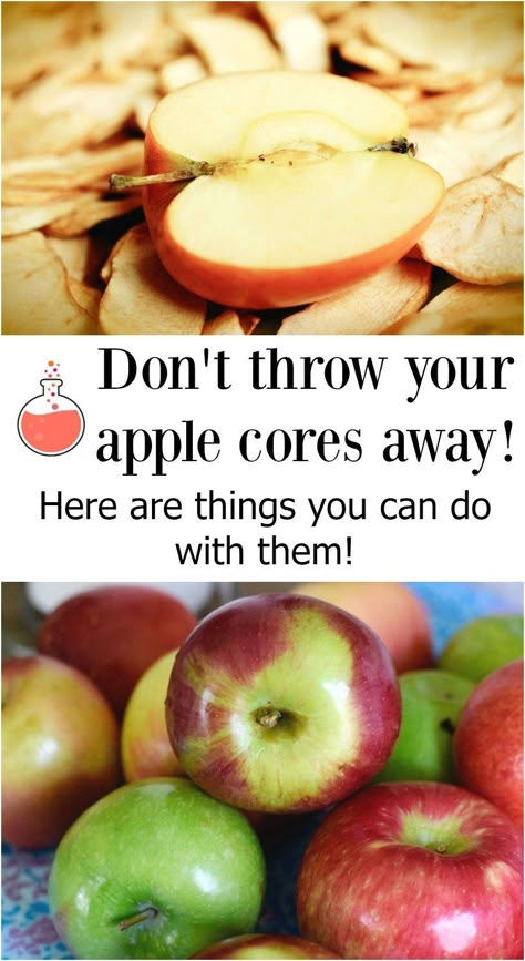 Don't throw away apple cores! Here are some awesome things you can do with leftover apple cores! Leftover Apples, Food Preserving, Apple Core, Beautiful Pumpkins, Coconut Health Benefits, Benefits Of Coconut Oil, Fall Inspiration, Food Preservation, Fall Diy