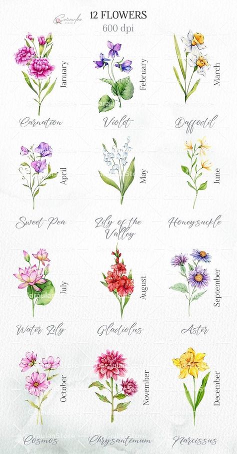 Birth Month Flowers Drawing, Birth Bird By Month, Birth Month Flower Painting, Birth Flowers Painting, Birth Flower Tattoos In Color, Birth Flower For November, Birth Month Flowers In Color, Birth Month Flower Watercolor, Watercolor Birth Month Flowers