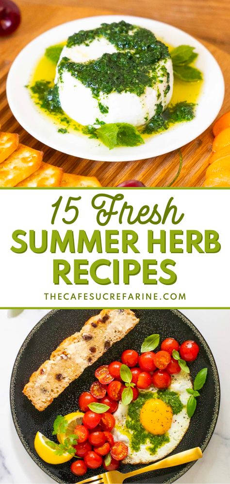 These 15 Fresh Summer Herb Recipes create bright, refreshing recipes that range from sweet to savory flavors! With lots of basil, thyme, rosemary, mint, and more, you can create so many new recipes. There's everything from fresh sauces to salad dressings and even cookies. Make these recipes and enjoy them all summer long! Things To Do With Fresh Basil, Recipes For Fresh Basil, Sage Herb Recipes, Fresh Herbs Recipes, Recipes Using Fresh Herbs, Summer Savory Herb Recipes, Fresh Basil Recipes Healthy, Lime Basil Recipes, Herb Salad Recipes