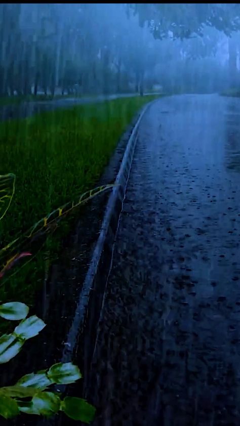 Rain Thunderstorms Video, Heavy Rain Photography, Rain Fall Video, Weather App Design, Thunderstorm Video, Rain Songs, Relaxing Rain, Rain And Thunderstorms, Night Nature