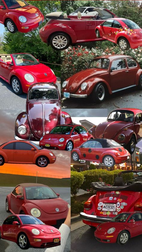 red beetles 🪲 #fypshuffles #fyp #fyppppp #cars #beetlecars #beetles #shufflefyp #collages Familiarity Breeds Contempt, Beetle Girl, Cars Decor, Punch Buggy, Red Beetle, Accessories For Cars, Bug Car, Volkswagen Beetles, Car Deco