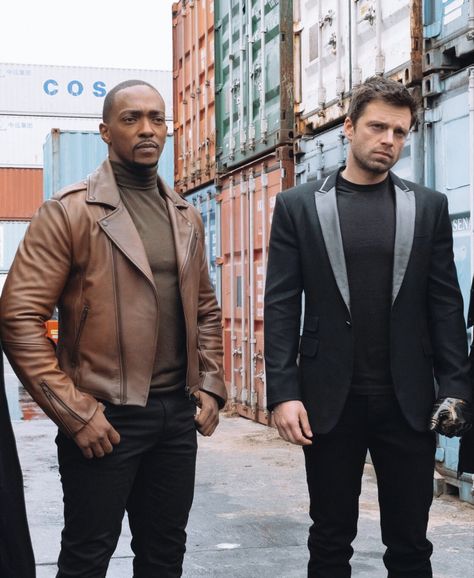 Sam And Bucky, Falcon Winter Soldier, Falcon And Winter Soldier, Sharon Carter, Emily Vancamp, Sam Wilson, Winter Soldier Bucky, Falcon And The Winter Soldier, Marvel Tv