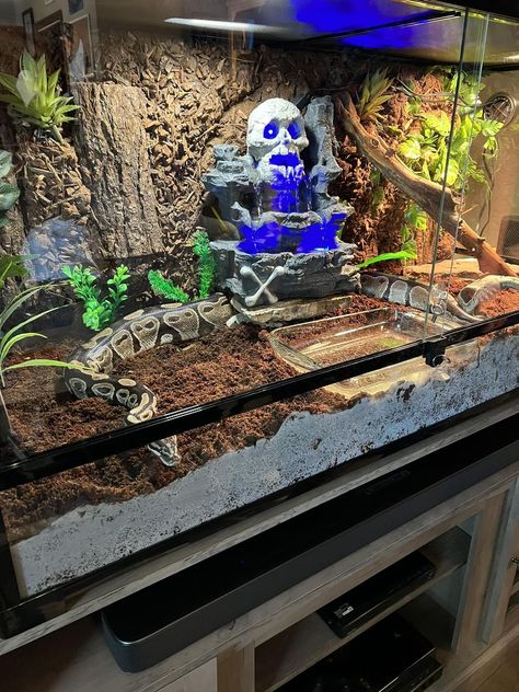 DIY Reptile Enclosures | My first build Themed Reptile Enclosure, Themed Snake Enclosure, Cool Reptile Enclosures, Goth Snake Enclosure, Custom Reptile Enclosure, Large Snake Enclosure, Snake Tank Setup Ball Python, Snake Tank Decor, Snake Enclosure Ideas Diy