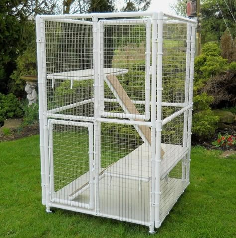 Indoor Cat Cages Enclosures - Ideas on Foter Cat Cages Indoor, Diy Cat Enclosure, Low Maintenance Pets, Ferret Cage, Cat Enclosures, Cat Patio, Cat Pen, Outdoor Cat Enclosure, Cat Cage