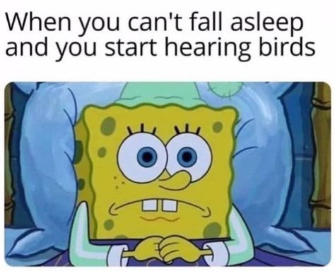 Insomnia Meme, Alfabet Font, Funny Spongebob, Funny Spongebob Memes, Spongebob Funny, Big Mood, Spongebob Memes, Sponge Bob, Dessin Adorable