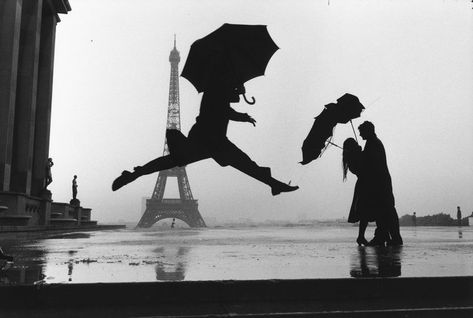 Eliot Erwitt, Elliott Erwitt Photography, Elliot Erwitt, Elliott Erwitt, Andre Kertesz, Heartwarming Photos, Classic Photography, Steve Mccurry, Gordon Parks