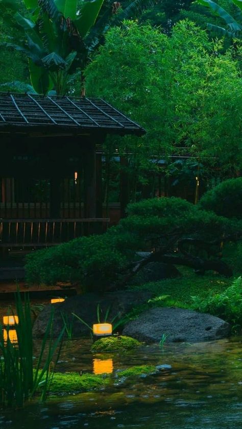 Royal Palace Aesthetic, Palace Aesthetic, Japan Wallpaper, Zen Wallpaper, Zen Aesthetic, Japanese Forest, Japanese Nature, Japanese Zen Garden, Chinese Aesthetic