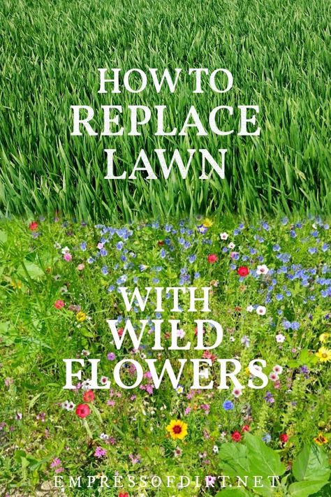 One option to make your yard more pollinator-friendly is to replace areas of grass lawn with low-growing wildflower seed mixes. Meadow Backyard, Botanical Landscape, Replace Lawn, Forest Meadow, Grow Wildflowers, Lawn Alternatives, Wild Flower Meadow, Meadow Garden, Garden Wallpaper