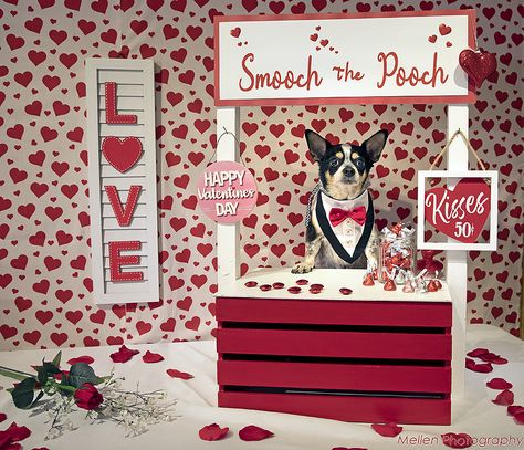 Happy Valentines Day | Mellen Photography Dog Kissing Booth, Pet Photo Ideas, Valentines Photo Booth, Longview Washington, Holiday Pet Photos, Dog Photo Ideas, Photo Moment, Puppy Valentines, Valentine Photo Shoot