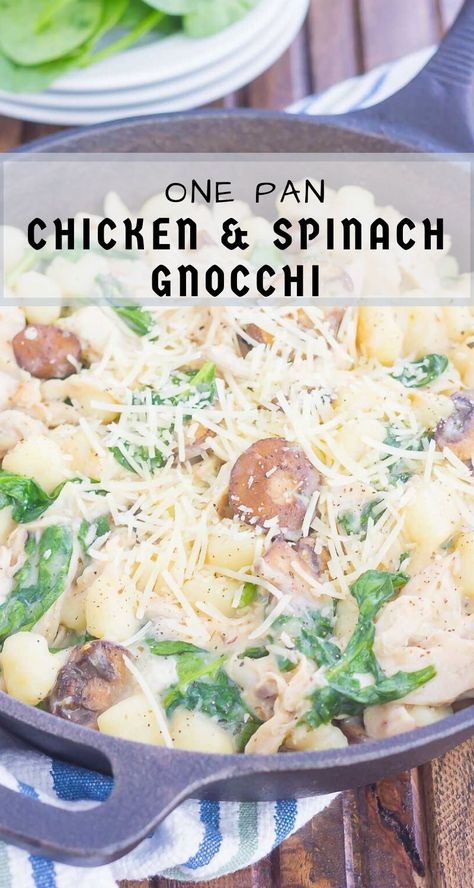 This One Pan Chicken and Spinach Gnocchi is perfect for an easy weeknight meal. Tender gnocchi is paired with shredded chicken, mushrooms and fresh spinach, and then tossed in a light parmesan cream sauce. Simple to make and full of flavor, this comforting dish will be a favorite all year long! #gnocchi #onepanrecipe #onepandish #onepangnocchi #chicken #chickenrecipe #spinach #chickengnocchi #chickenspinach #dinner #easydinner Spinach Gnocchi, Chicken Pasta Dishes, Chicken Mushrooms, Parmesan Cream Sauce, Chicken Gnocchi, Comfort Casseroles, Chicken Spinach, Chicken And Spinach, One Pan Chicken