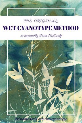 Wet Cyanotype, Cyanotype Printing, Sun Printing, Cyanotype Art, Cyanotype Process, Sun Prints, Eco Dyeing, Alternative Photography, Nature Art Prints