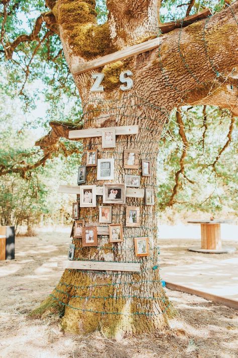 Wedding Family Tree, Family Tree Wedding, Tree Wedding Ceremony, Wedding Craft Ideas, Tree Wedding Centerpieces, Wedding Family Photos, Willow Tree Wedding, Oak Tree Wedding, Mum Wedding