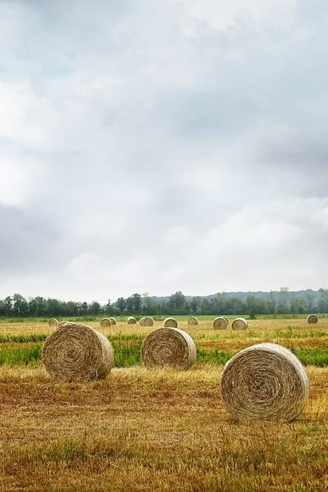 Hay Farm, Farm Wallpaper, Bales Of Hay, Hay Field, Rural Photography, City Scenery, Farm Painting, Christmas Pageant, Farm Paintings