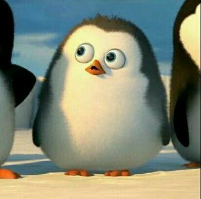 Penguins Of Madagascar, Animated Animals, Goofy Pictures, Cute Cartoon Characters, Funny Profile Pictures, Cartoon Jokes, Cute Memes, Cartoon Profile Pics, Cute Profile Pictures